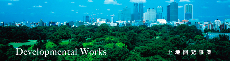 土地開発事業　Developmental Works